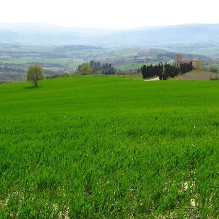 Le Storie Di Pietra San Terenziano